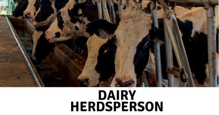 Dairy Herdsperson Vacancies in Canada