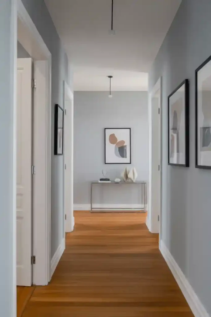 Eggshell Finish Paint