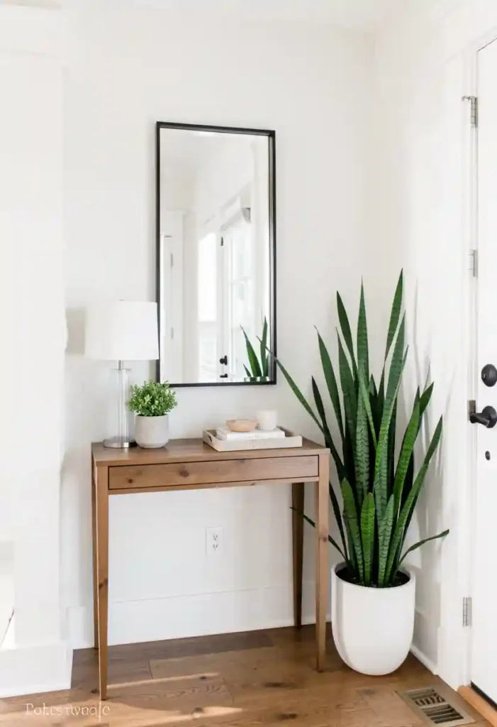 Style Entryways With Green Plants