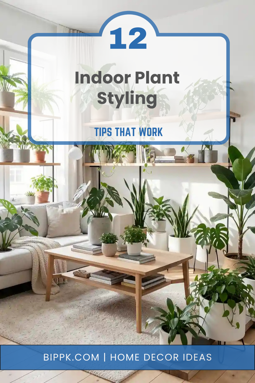 _Indoor Plant Styling