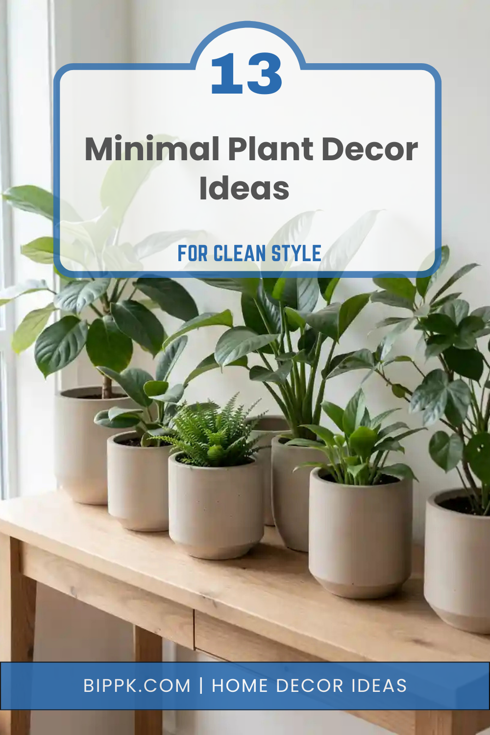 _Minimal Plant Decor Ideas